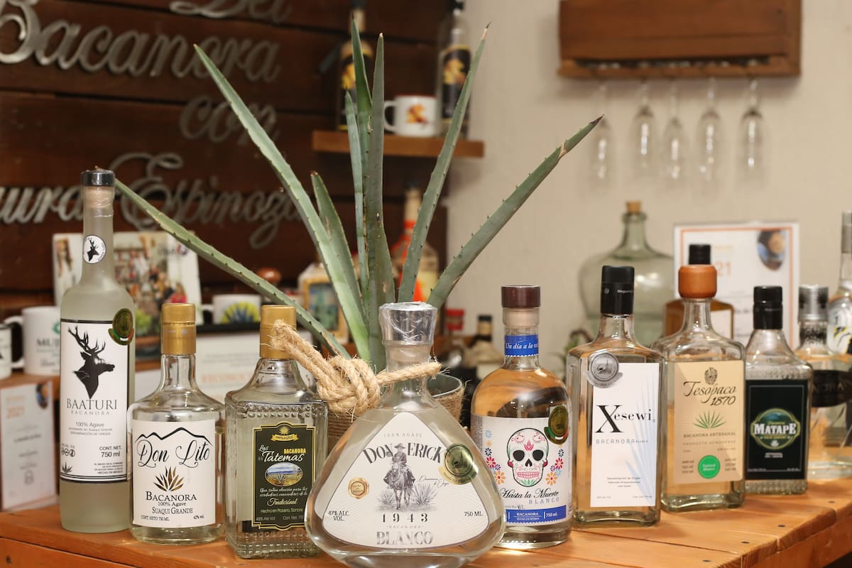 Bacanora, de Sonora al mundo