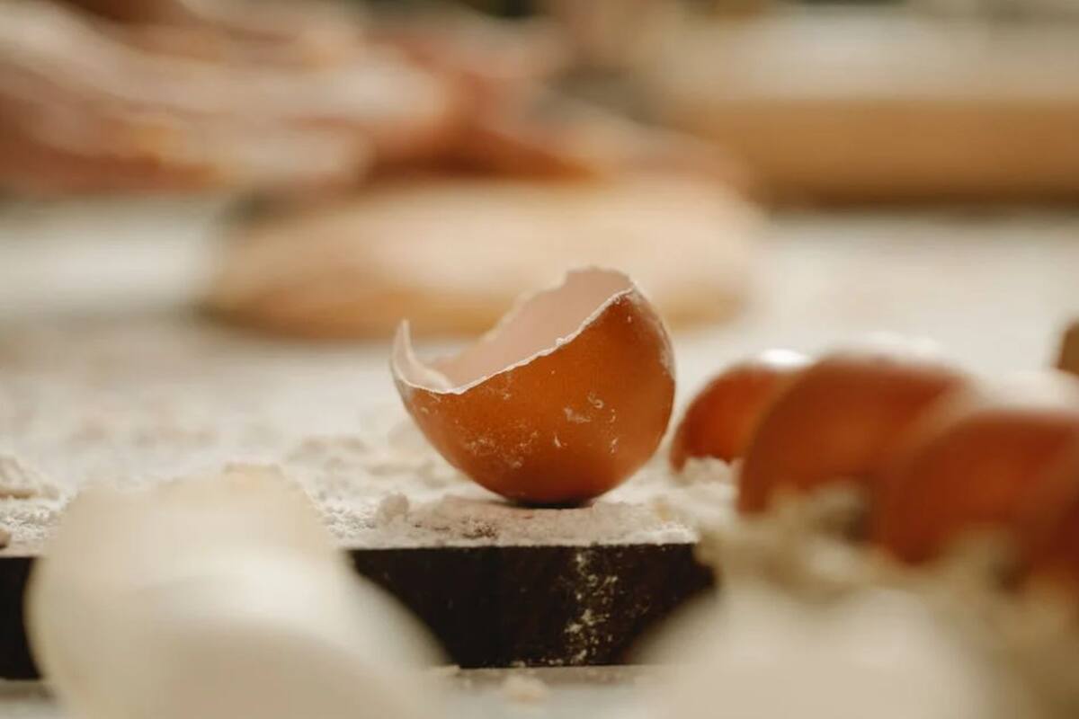 Descubre los usos que le puedes dar a las cáscaras de huevo