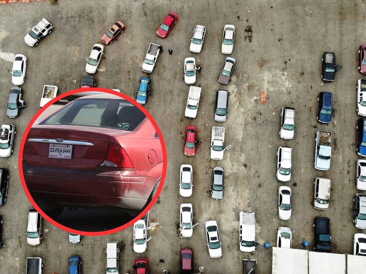 Ingresan 500 mdp a Sonora por autos regularizados