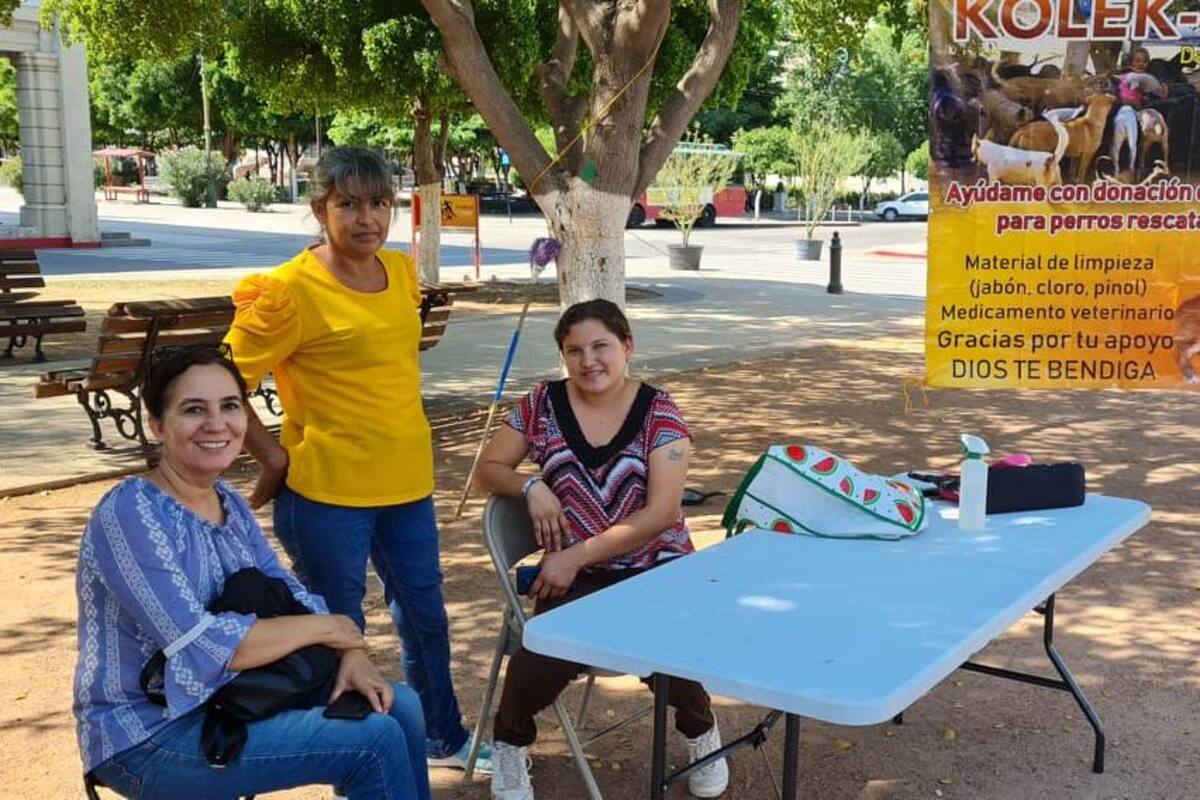 Rescatista de perros realiza colecta en Hermosillo para su cuidado: "Kolek-Ton"