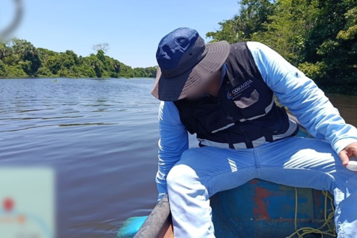 Profepa y Conagua investigan muerte de peces en río de Veracruz mientras empresa de alcoholes se deslinda