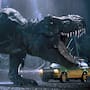 El misterio de los brazos cortos del T- Rex tendría respuesta en la fuerza de su cráneo y no necesitaba brazos largos para ser un depredador dominante, según estudio británico