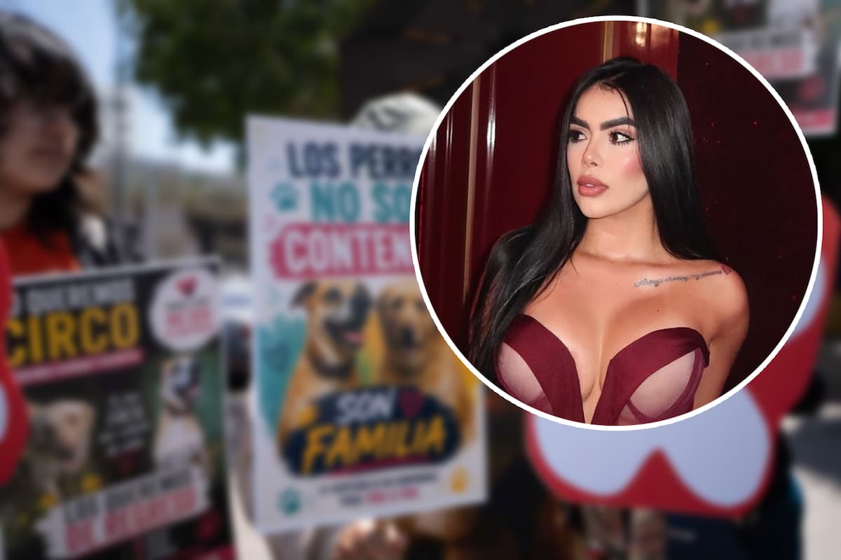 ¿Quién es Sol León, la influencer que está en polémica por la adopción de dos perritos en Tijuana?
