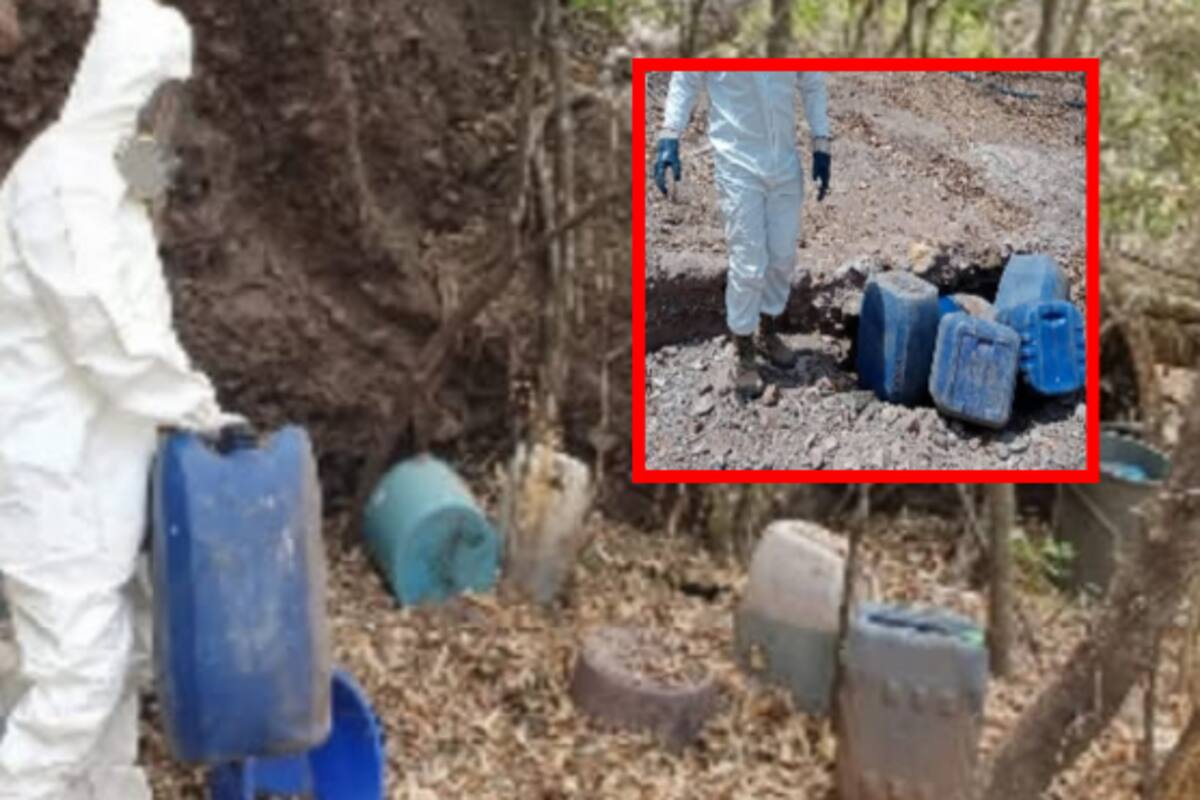 Aseguran 8 zonas con sustancias químicas peligrosas en Culiacán y Cosalá