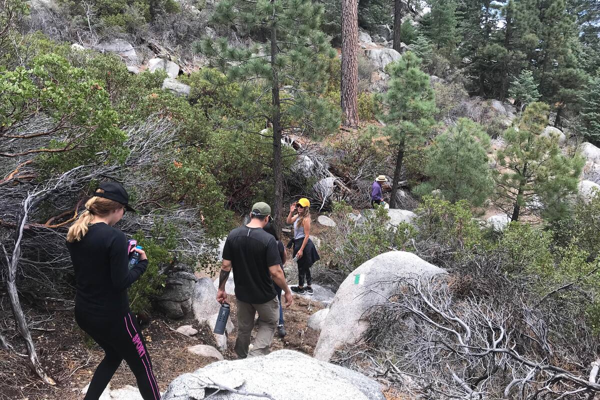 Aumentan actividades al aire libre y movilidad pese a contingencia