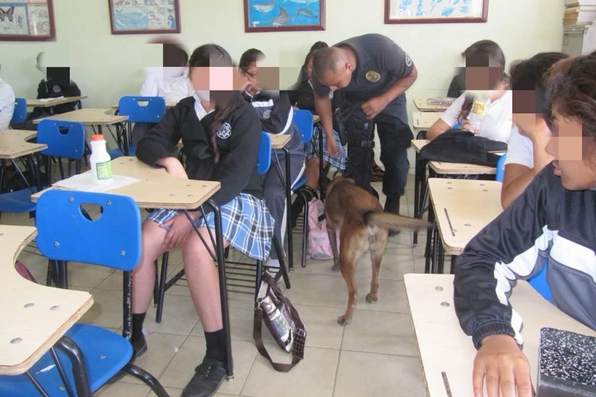 Revisiones escolares en Rosarito, buscan detectar riesgos a tiempo