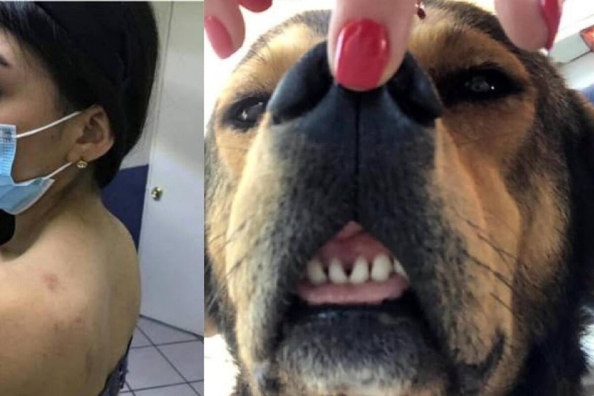 "Rodolfo Corazón atacó primero", insiste novia de presunto asesino del perrito