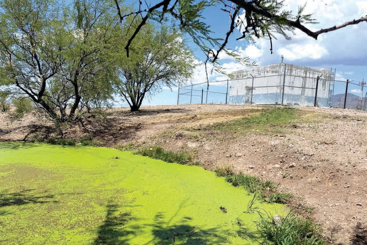 Hay familias sin agua y otras sólo tienen servicio 20 minutos al día en ejido Mascareñas de Nogales