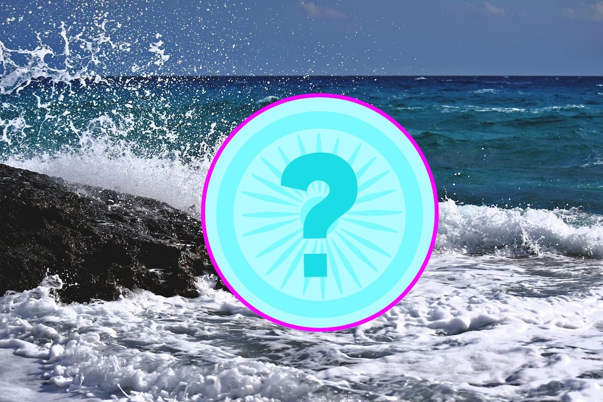 ¿Cuál es el animal que tiene el cerebro más grande del mundo?