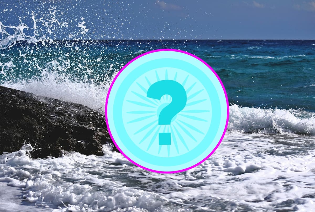 el animal con el cerebro más grande es el cachalote (Physeter macrocephalus), una especie de ballena que habita en las aguas profundas de todos los océanos l Foto: Pixabay