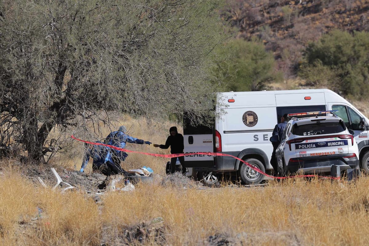 Hallan a un hombre sin vida junto a un árbol en carretera Hermosillo-Nogales