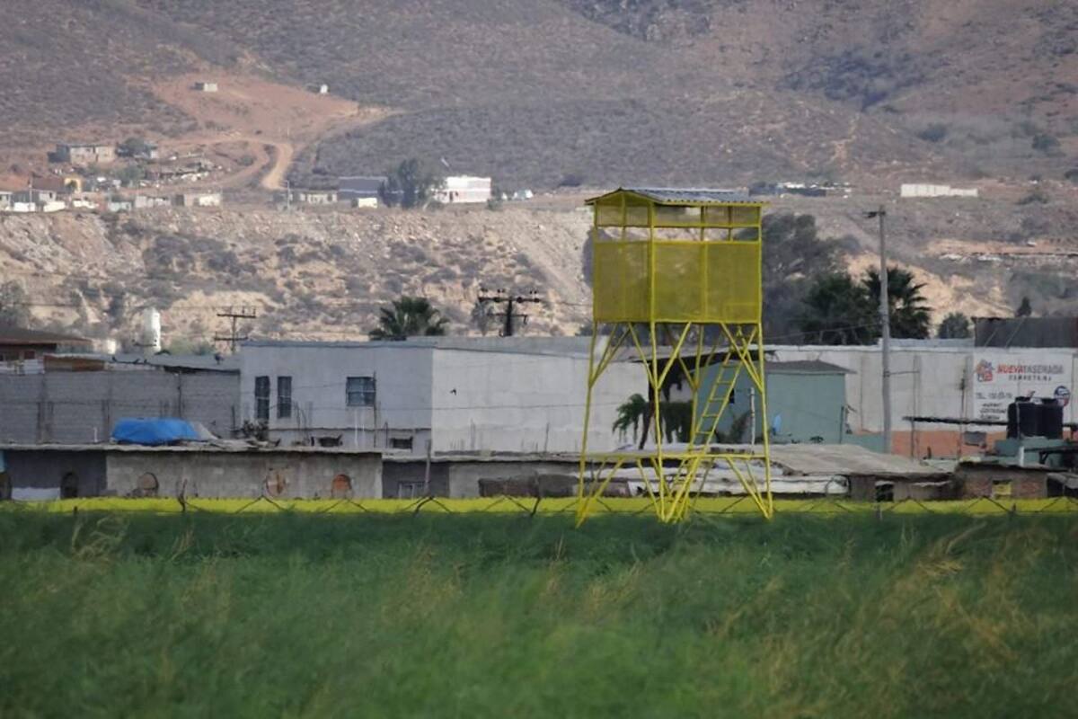 Aumenta robo hormiga en Maneadero
