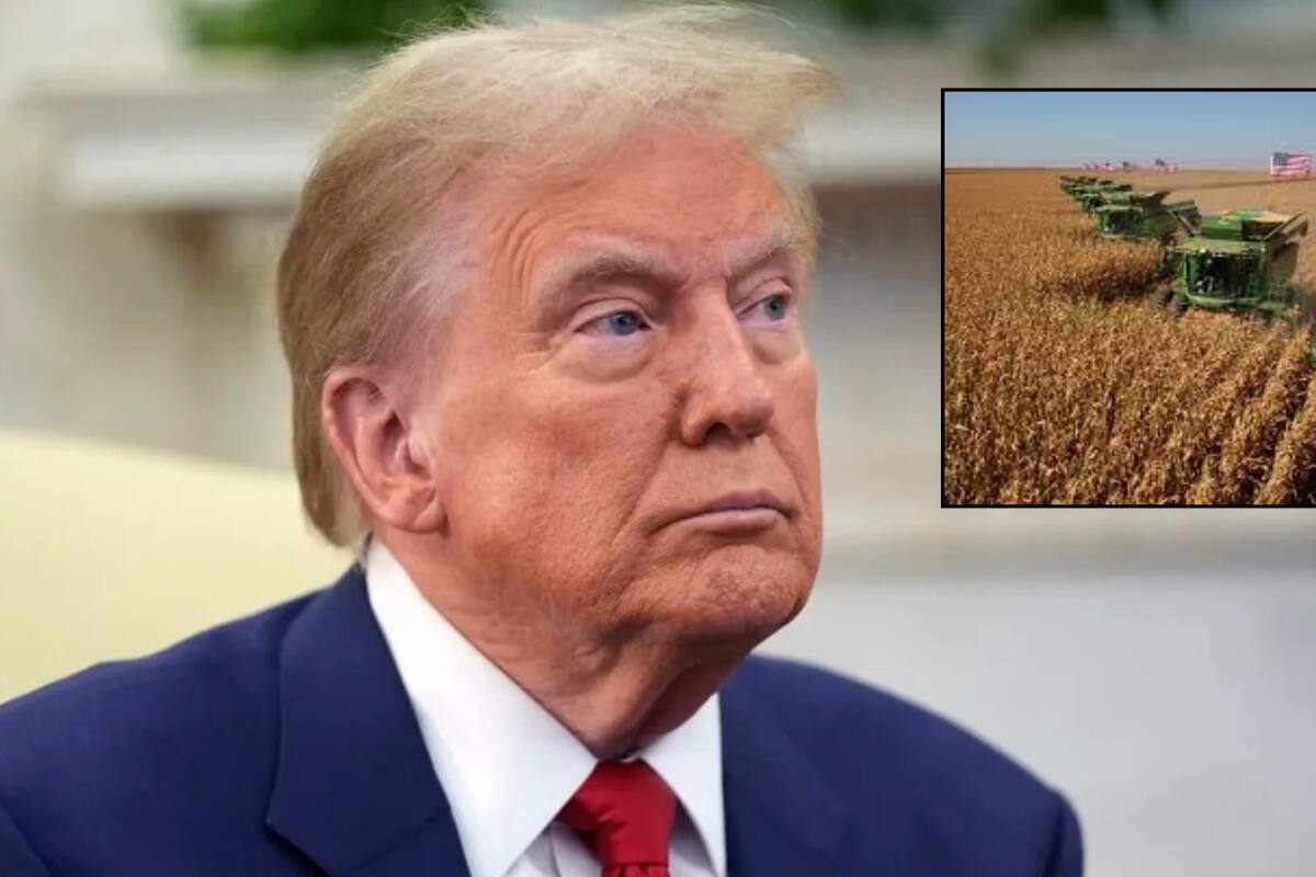 Las deportaciones masivas de Trump podrían desestabilizar la agricultura y aumentar la inflación en EU, señalan expertos