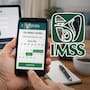 ¿Cómo sacar cita en el IMSS sin hacer filas? Así puedes agendar consulta desde tu celular, en línea o por teléfono en minutos usando CURP, NSS y correo electrónico
