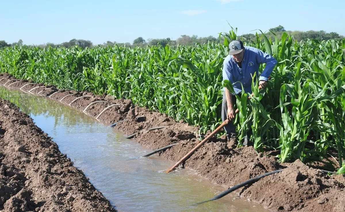 Riego agrícola FOTO: BANCO DIGITAL