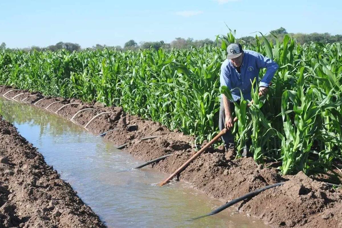 Investigan el impacto que tienen actividades primarias del VY en el Mar de Cortés