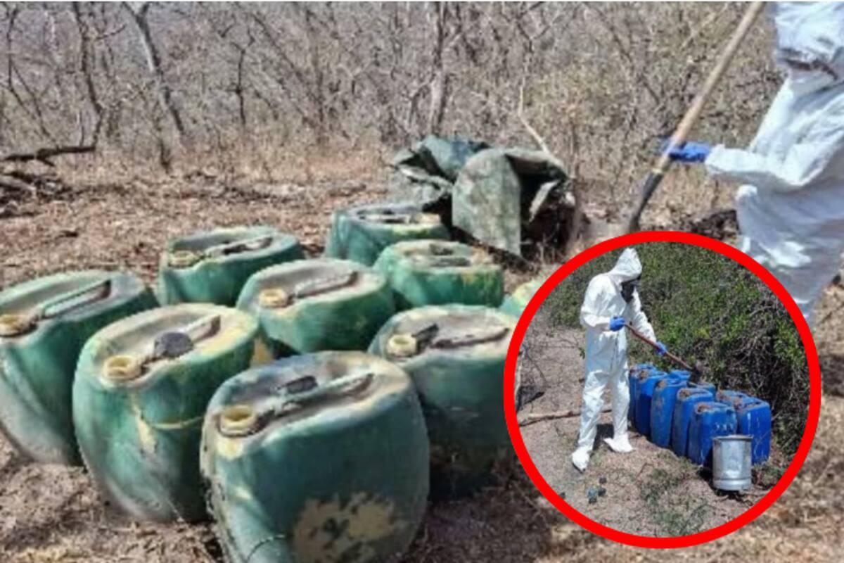 Aseguran y desmantelan 12 laboratorios clandestinos en Sinaloa
