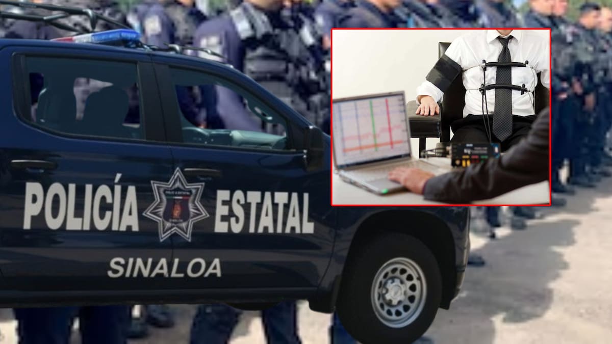 Además, se plantea dotar a la corporación policial con drones de entre 2 y 25 kilogramos para conformar un grupo de vigilancia especial.