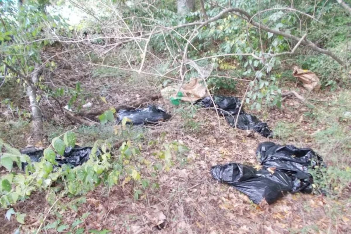 Encuentran bolsas con animales decapitados cerca de un complejo de apartamentos en Georgia