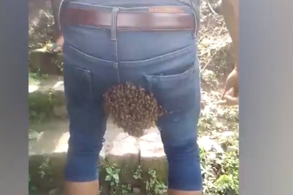 VIDEO: Abeja reina aterriza en trasero de joven y arriba todo un enjambre