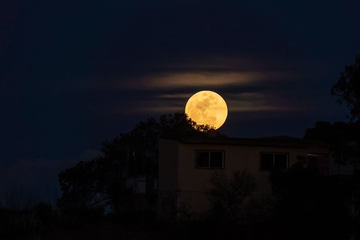 La noche de este miércoles 1 de abril, una imponente luna llena iluminó el cielo de Tijuana, destacando por su brillo y tamaño aparente, en un fenómeno conocido como “Luna Rosa”, vinculado con el calendario de Semana Santa.
Foto: Border Zoom