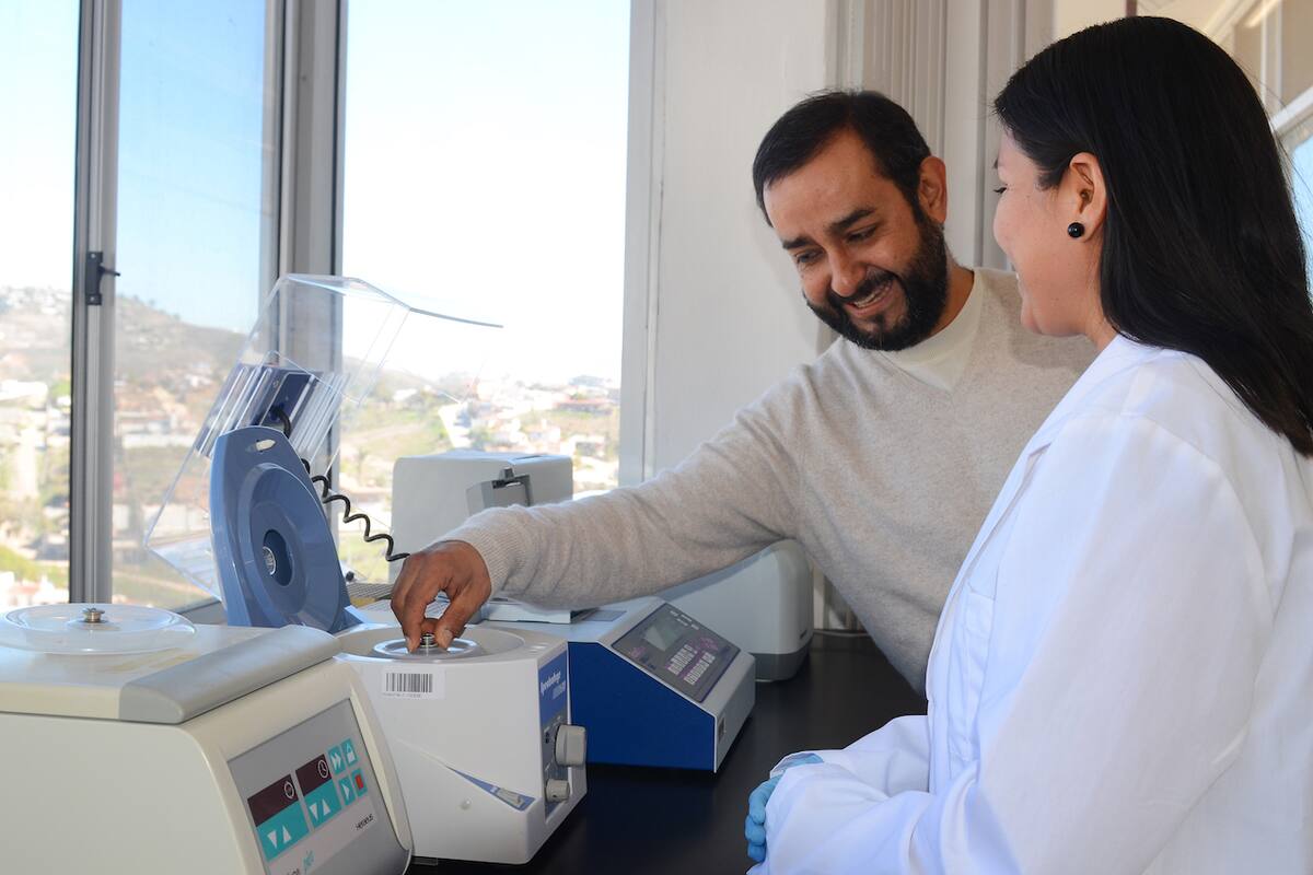 Cicese abre convocatoria para ingresar a sus programas de doctorado en ciencias