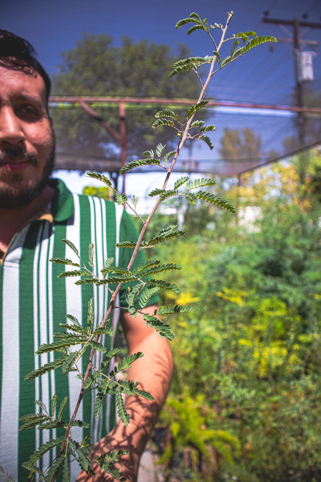 Foto: Andrés O. Farrera.