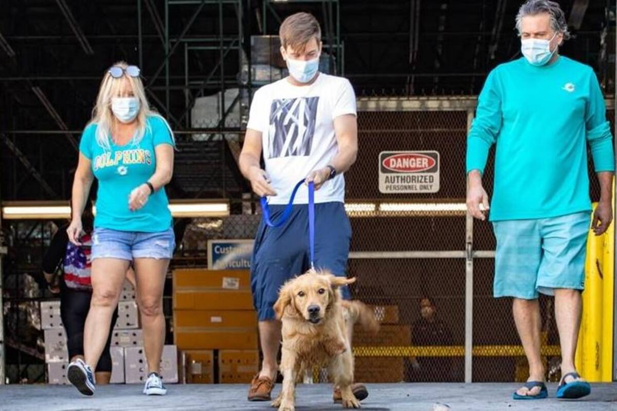¡Heroico! Animalistas salvan perritos de carnicerías en China