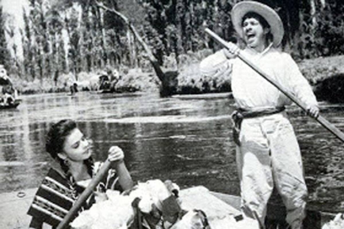“El violetero” en el cine club del ICBC Tijuana