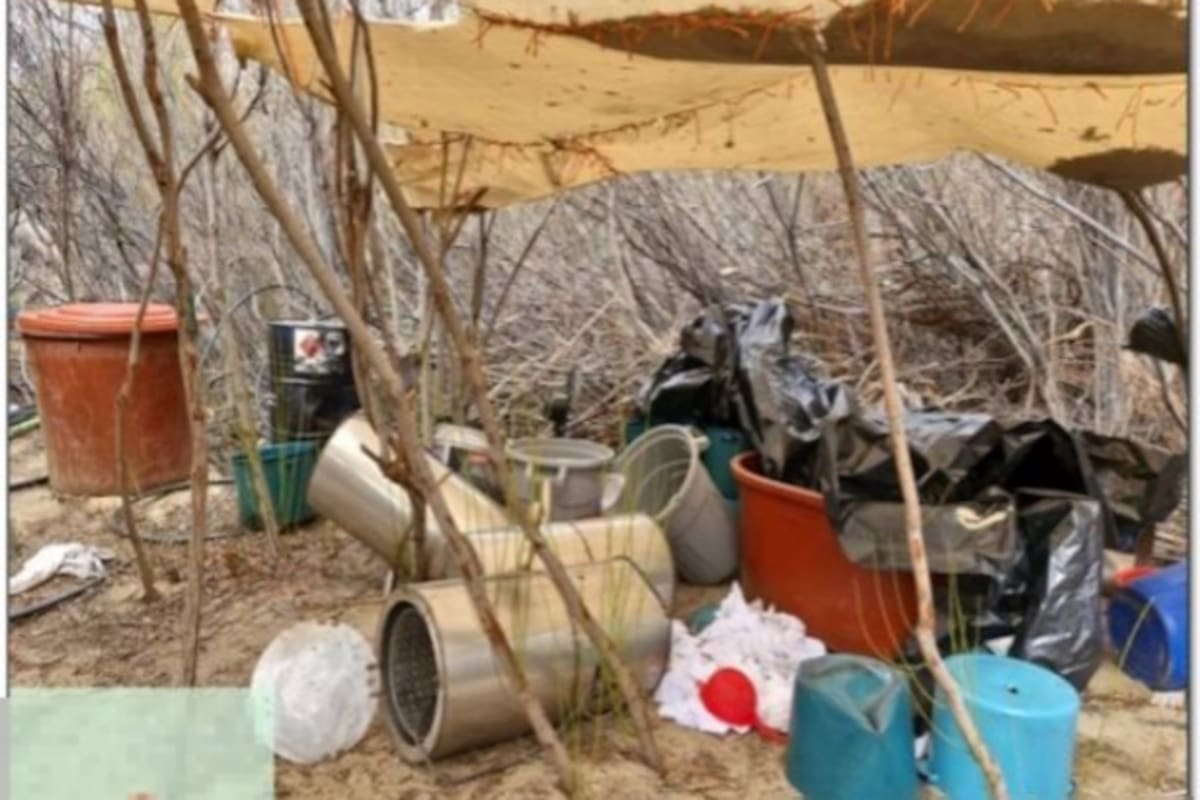 Secretaría de Marina inhabilita laboratorio clandestino en San Matías, Baja California
