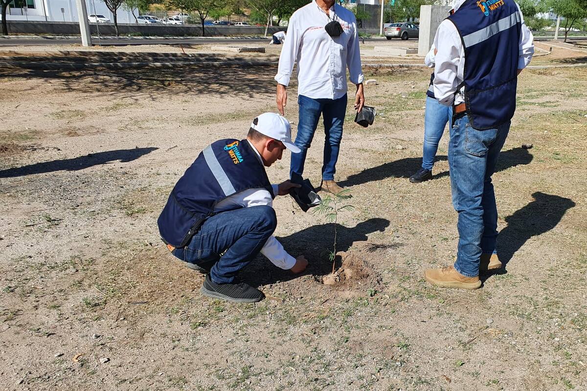 Autoridades municipales y estatales plantaron árboles en Parque Bicentenario