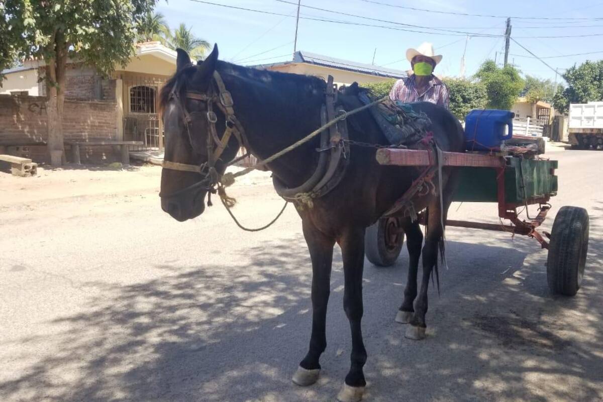 Le hace frente a la adversidad don Fausto