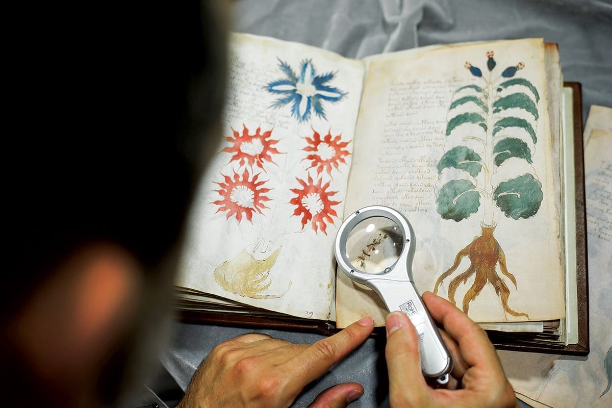 El enigma del manuscrito Voynich: El libro que nadie ha podido descifrar