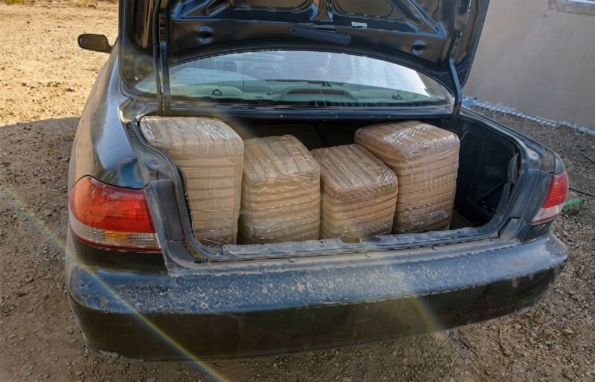 En conjunto, los dos aseguramientos reportados por la FGR representan 429 kilos 346 gramos de marihuana. Foto: Cortesía