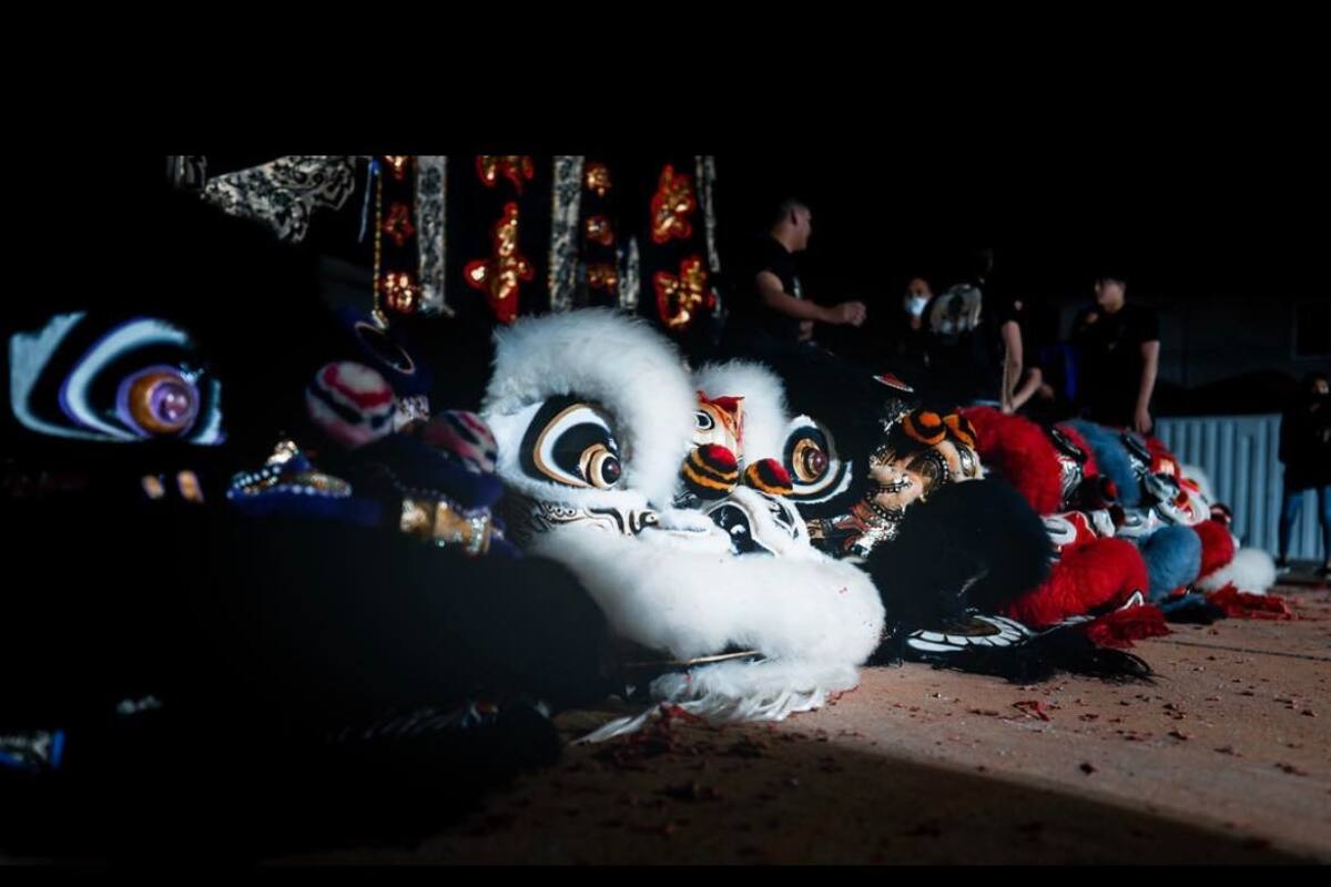 Sorpréndete con el San Diego Midnight Lion Dance Show 2025