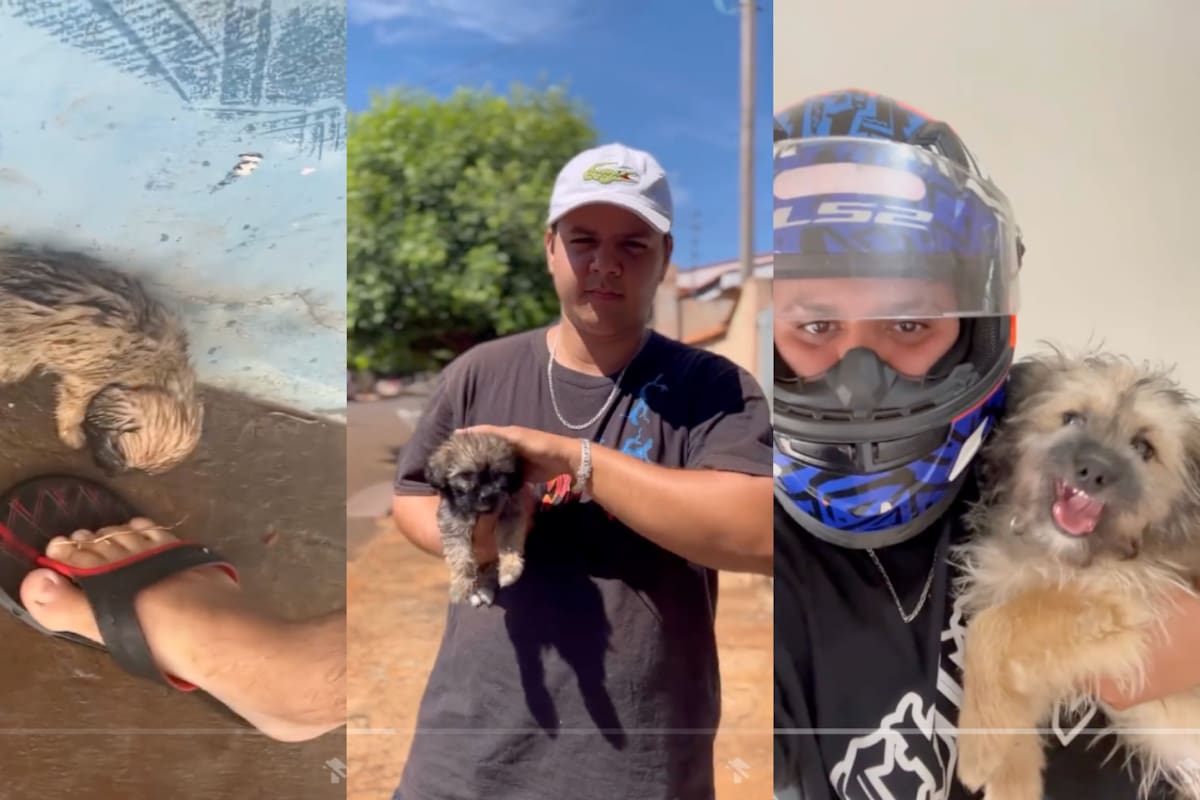 Hombre encuentra a un cachorro bajo la lluvia, lo rescata y ahora son los mejores amigos (VIDEO)
