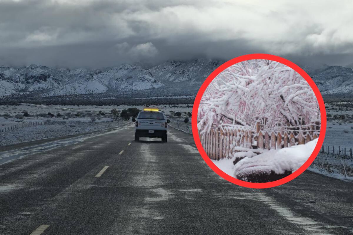 Clima en Sonora: CEPC alista medidas ante llegada de la segunda tormenta invernal