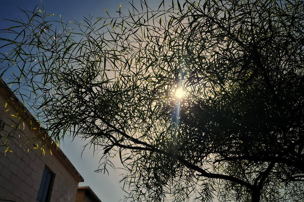 Domingo de calor en Mexicali: 36 grados, cielo despejado y vientos suaves para cerrar el fin de semana