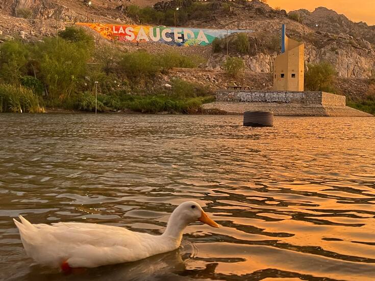 Estas son  las actividades GRATUITAS que habrá  este fin de semana en La Sauceda
