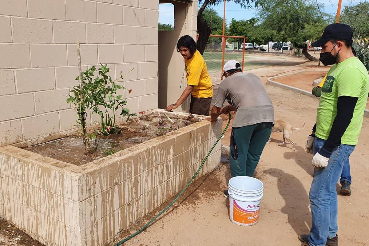 Hermosillo: Vecinos de la colonia Lomas de Madrid embellecen su parque