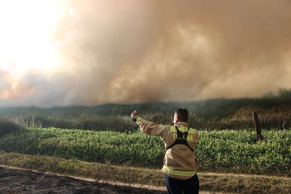 Refuerzan combate a incendio fronterizo con coordinación binacional