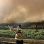 Refuerzan combate a incendio fronterizo con coordinación binacional