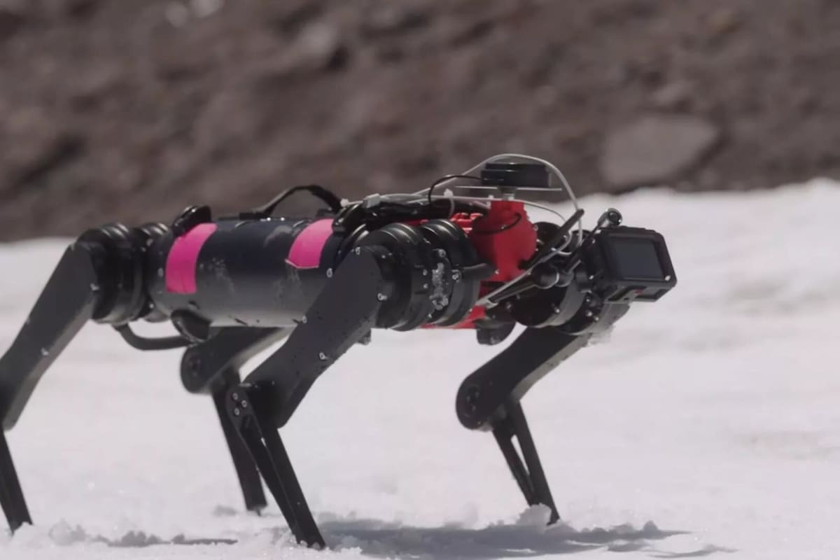 Spirit, el perro robot entrenado para conquistar otros planetas
