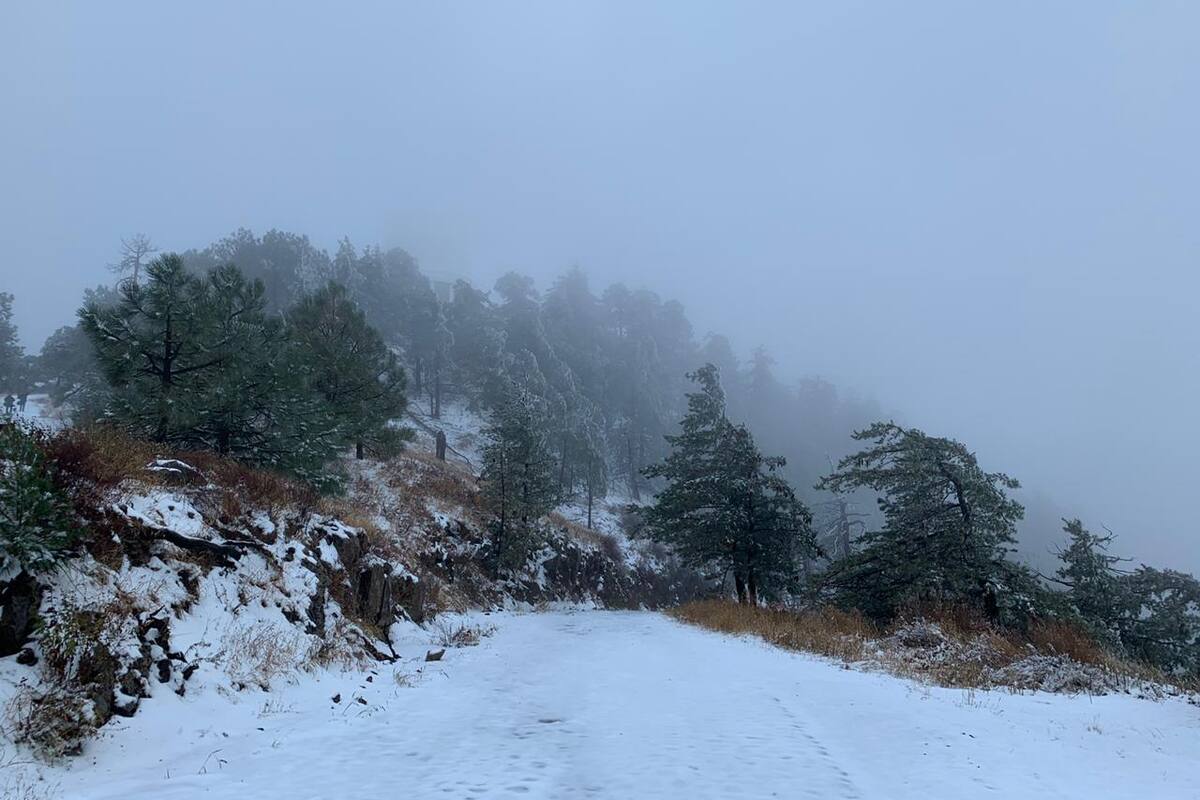 Alertan por frente frío que dejará nevadas y lluvia en Sonora