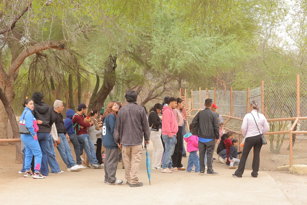 El Centro Ecológico registró ayer otra gran afluencia de visitantes interesados en conocer el capibara, considerado como el principal atractivo de este lugar. FOTO: BANCO DIGITAL