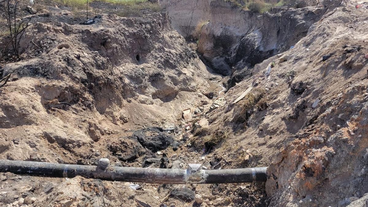 Las llamas alcanzaron entre 15 y 20 metros de altura. Foto: Carmen Gutiérrez