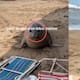 “No griten, asustan al bebé.”: vacacionistas son sorprendidas por un lobo marino y las redes se derriten por la escena