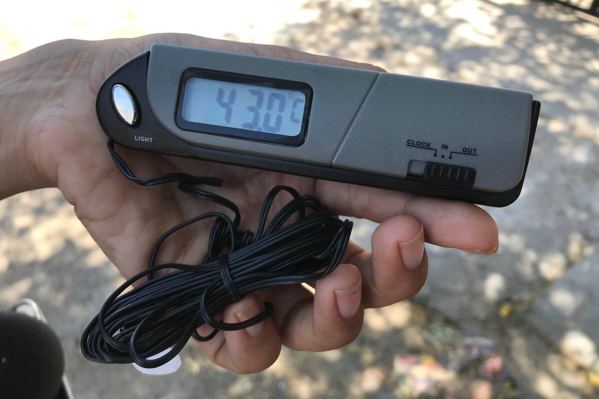 Exhortan a cuidarse de altas temperaturas