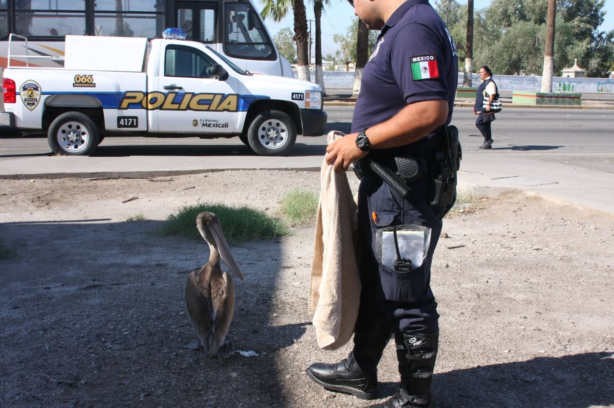 Foto: Arturo Ceceña