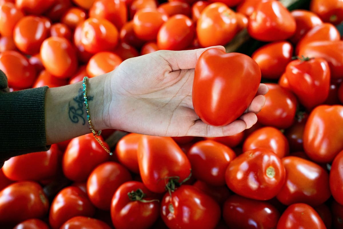 Ante el alza del 99.2% en el precio del jitomate por sequías y plagas, especialistas sugieren consumir purés o vegetales de temporada entre junio y agosto para mitigar el gasto